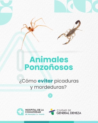 PREVENGAMOS ACCIDENTES CON ANIMALES PONZOÑOSOS