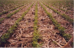 AGRICULTURA ENTREGÓ $ 292.000 PARA CONSERVACIÓN DE SUELOS.