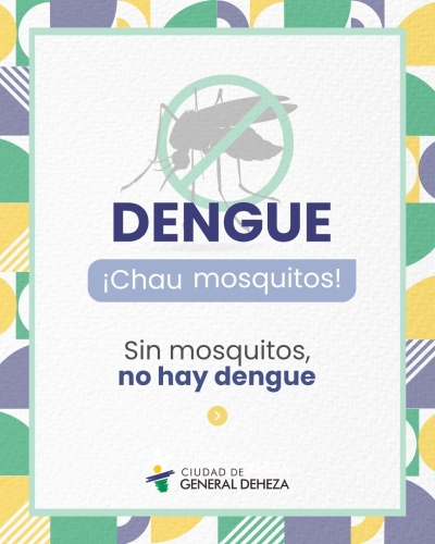 PREVENIR LA PROLIFERACIÓN DE MOSQUITOS, ES UN TRABAJO DE TODOS
