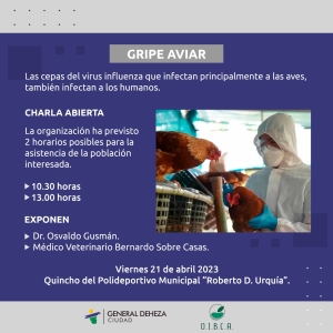GRIPE AVIAR - CHARLA ABIERTA