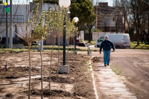 Plan de forestación en General Deheza. 2.200 plantas ya fueron colocadas.