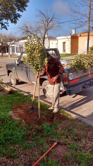 IMPORTANTE CAMPAÑA DE FORESTACIÓN EN GENERAL DEHEZA - 3.690 EJEMPLARES