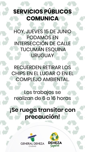 CONTINÚA LA PODA EN BARRIO POLIDEPORTIVO.