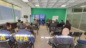 TRABAJO REGIONAL INTERFUERZAS.