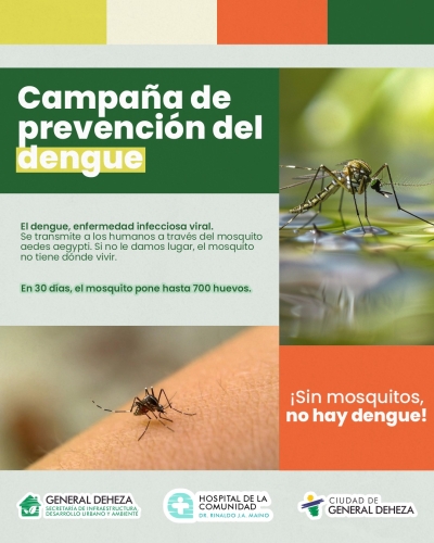 CAMPAÑA PREVENCIÓN DEL DENGUE