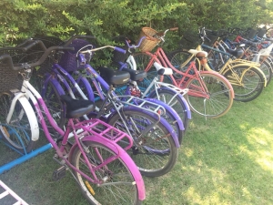 LA PILETA DEL POLIDEPORTIVO TIENE BICICLETEROS