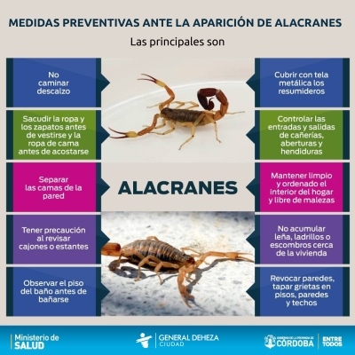 APARICIÓN DE ALACRANES - MEDIDAS PREVENTIVAS.