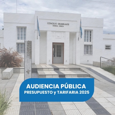 AUDIENCIA PÚBLICA - PRESUPUESTO Y TARIFARIA 2025