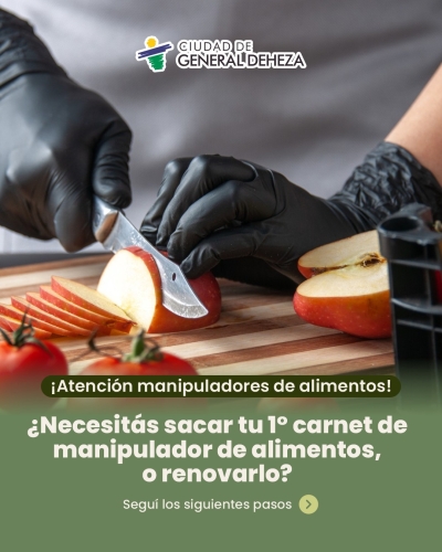 MANIPULADORES DE ALIMENTOS