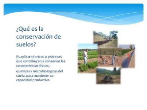 CONSORCIO DE CONSERVACIÓN DE SUELOS DE GENERAL DEHEZA