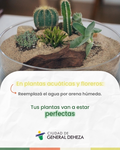 CAMPAÑA DE PREVENCIÓN DEL DENGUE 2025 - 2026