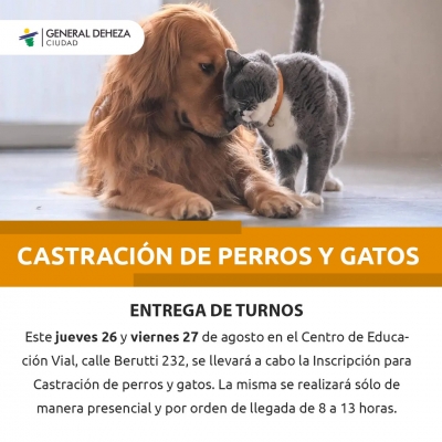 CASTRACIÓN DE PERROS Y GATOS