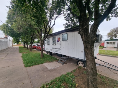 HOY SE LLEVAN A CABO CASTRACIONES DE PERROS Y GATOS