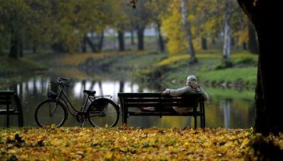 OTOÑO 2017 ¡BIENVENIDO!