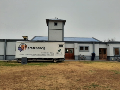 HOY, CASTRACIÓN PERROS Y GATOS