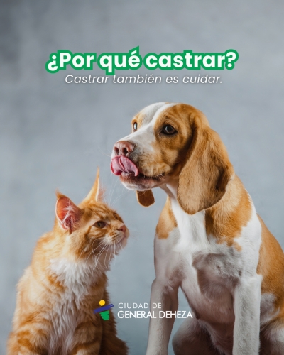 Castrar es cuidar