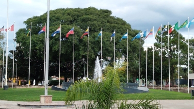 14 DE ABRIL - DÍA DE LAS AMÉRICAS